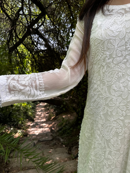 Chikankari Full Jaal work