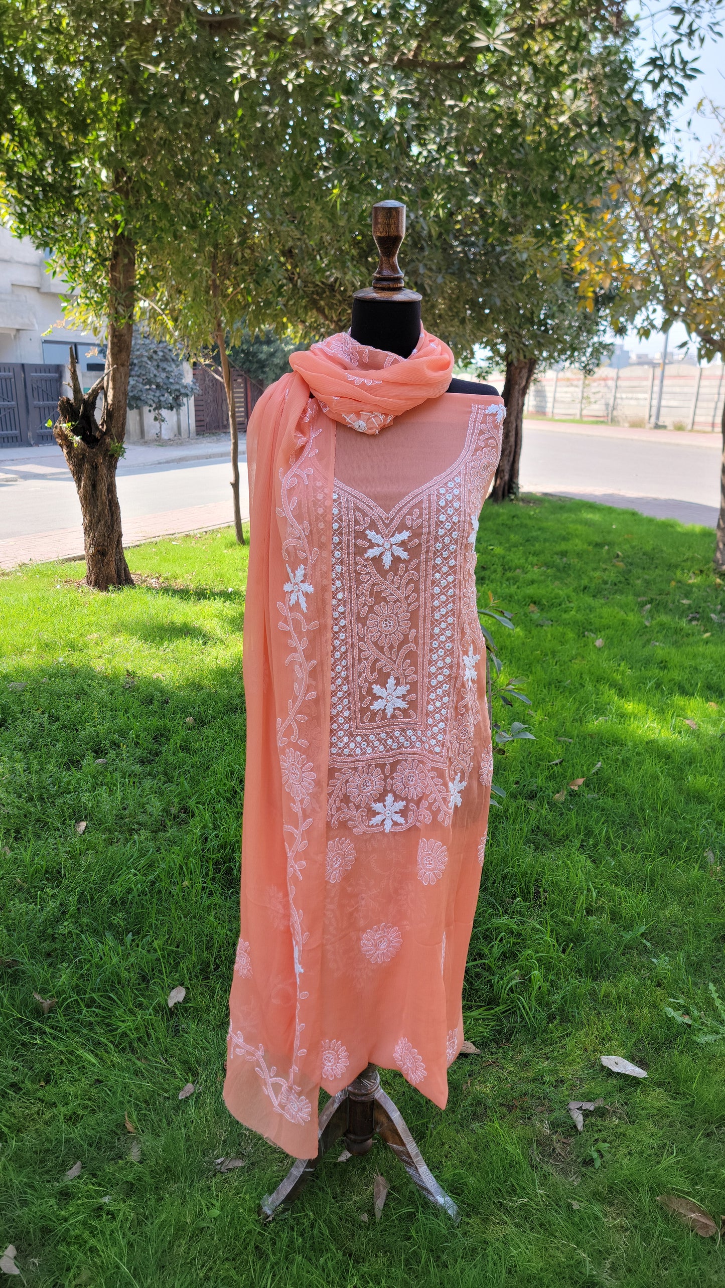 Chikankari Work Chiffon