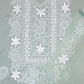 Chikankari Work Chiffon
