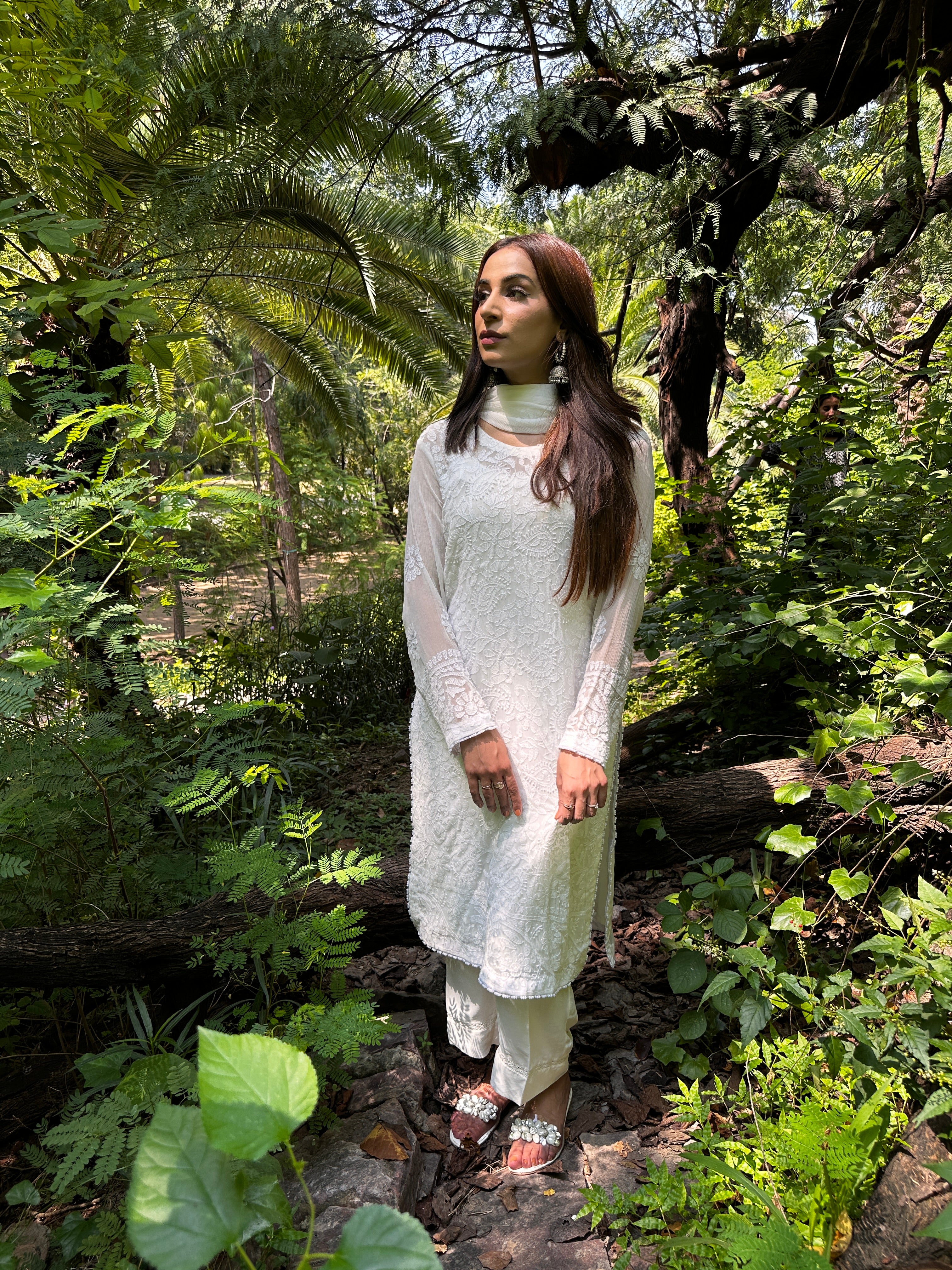 Chikankari Full Jaal work