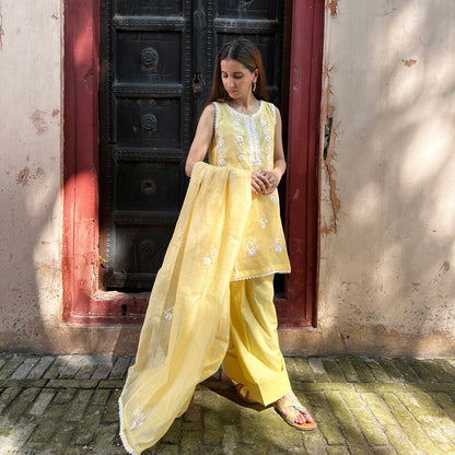 Chikankari & Tarkashi Paper Cotton