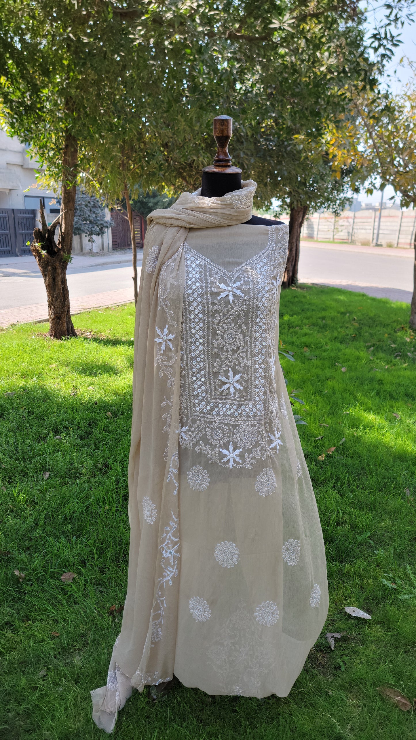 Chikankari Work Chiffon