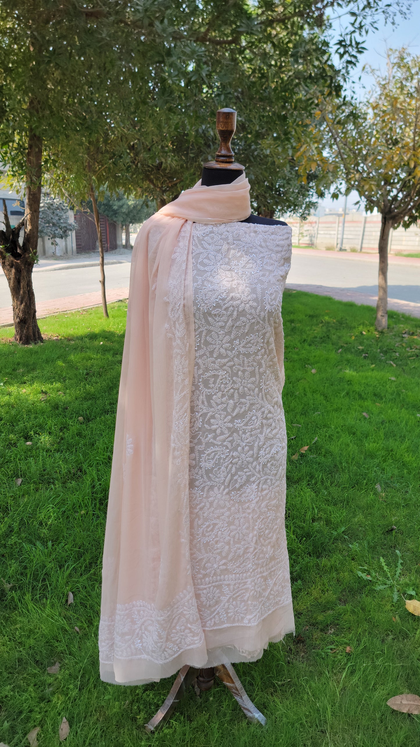 Chikankari Full Jaal work
