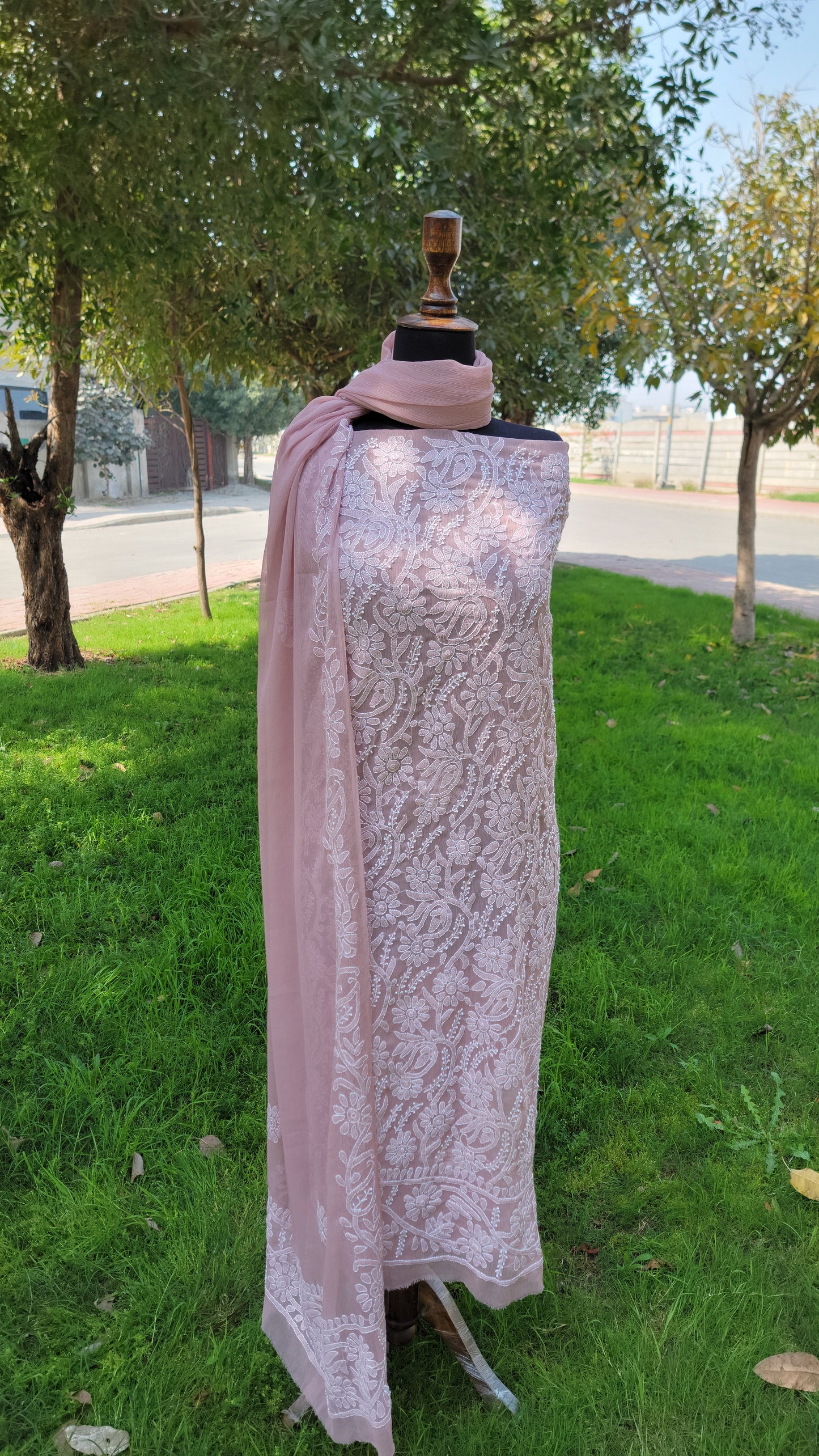 Chikankari Full Jaal work