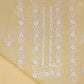 Chikankari & Tarkashi Paper Cotton